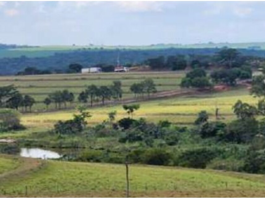 Imagem 23 do Leilão de Fazenda - Área Rural de Getulina - Getulina/SP