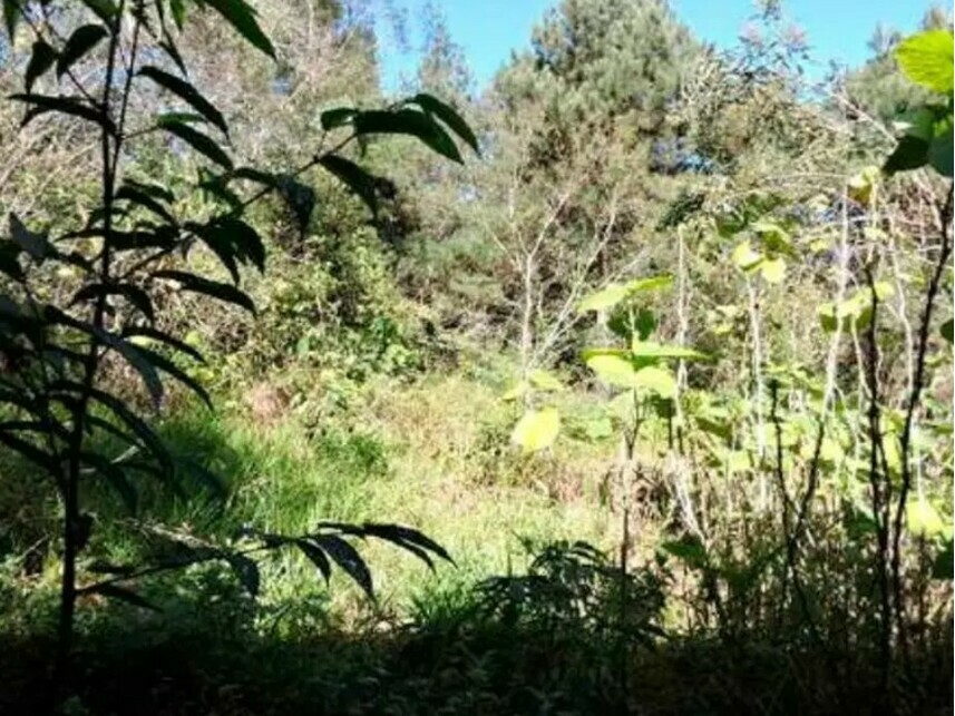 Imagem 13 do Leilão de Terreno - Aldeinha - Itapecerica da Serra/SP