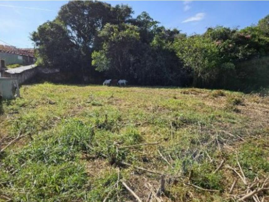 Imagem 13 do Leilão de Terreno - Alvorada - Lavras/MG