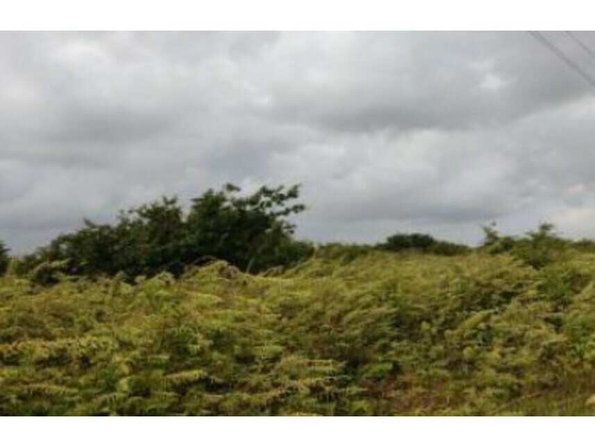 Imagem 1 do Leilão de Área Rural - Zona Rural - Ceará-Mirim/RN