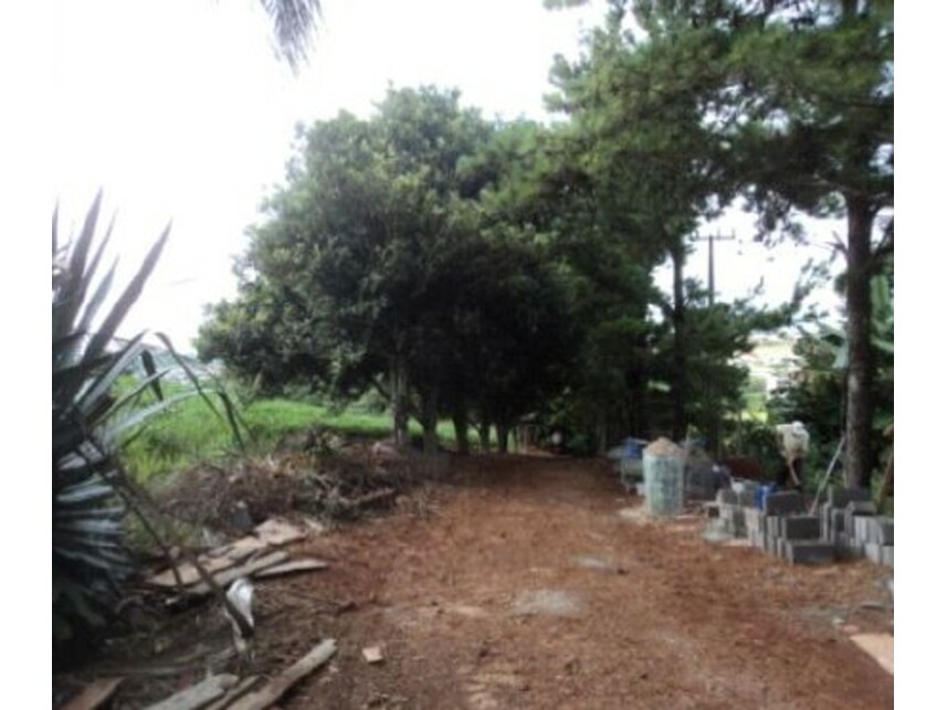 Imagem 3 do Leilão de Gleba Rural - Gleba Ribeirão Bandeirantes do Norte - Arapongas/PR