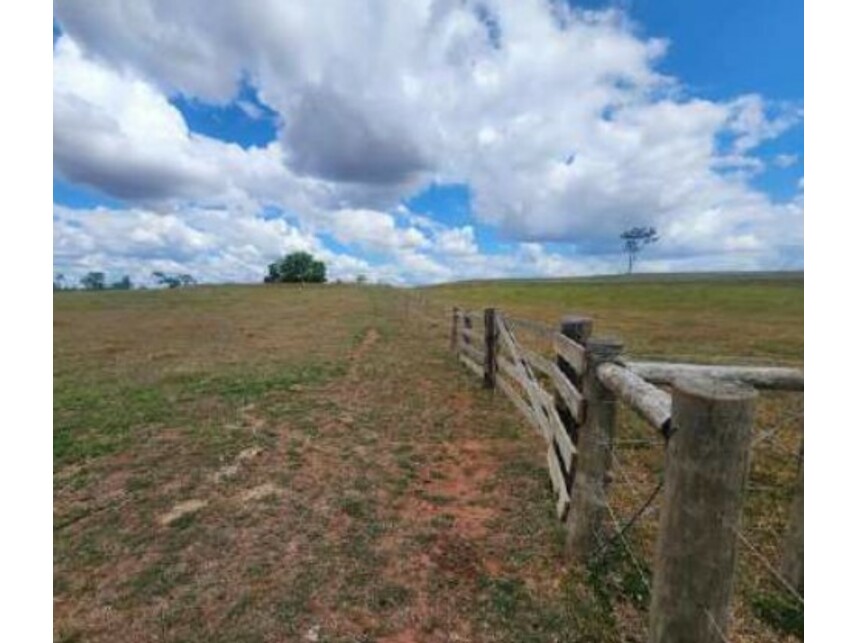 Imagem 26 do Leilão de Fazenda - Área Rural de Getulina - Getulina/SP