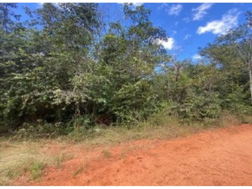 Imagem 2 do Leilão de Terreno - Chácaras Vale da Canção - Luziânia/GO