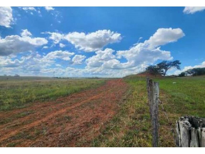 Imagem 21 do Leilão de Fazenda - Área Rural de Getulina - Getulina/SP