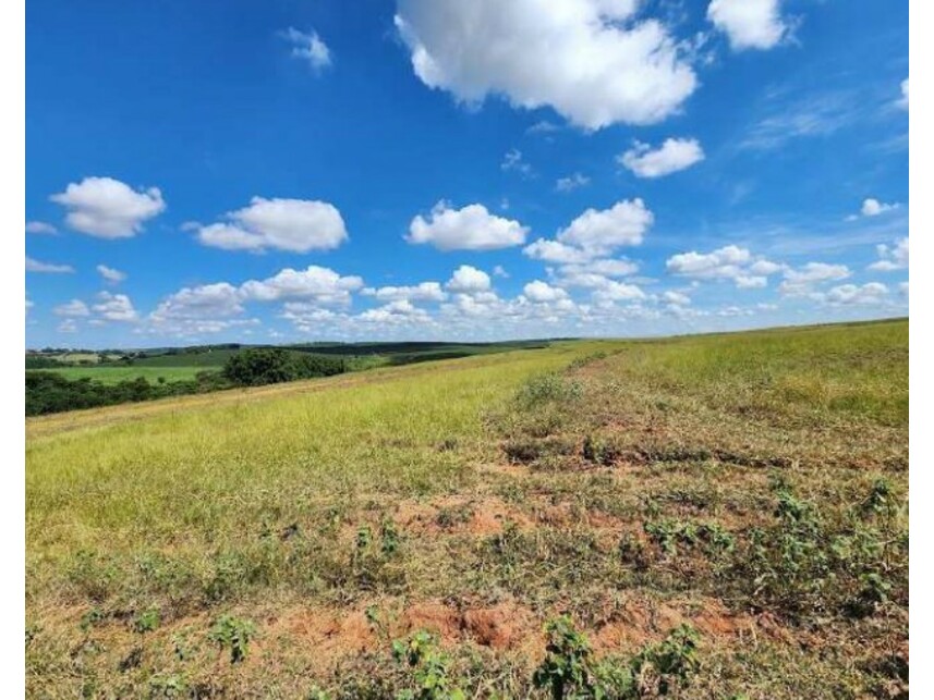 Imagem 17 do Leilão de Fazenda - Área Rural de Getulina - Getulina/SP