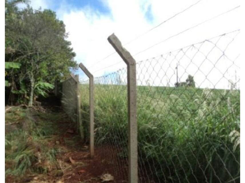 Imagem 10 do Leilão de Gleba Rural - Gleba Ribeirão Bandeirantes do Norte - Arapongas/PR