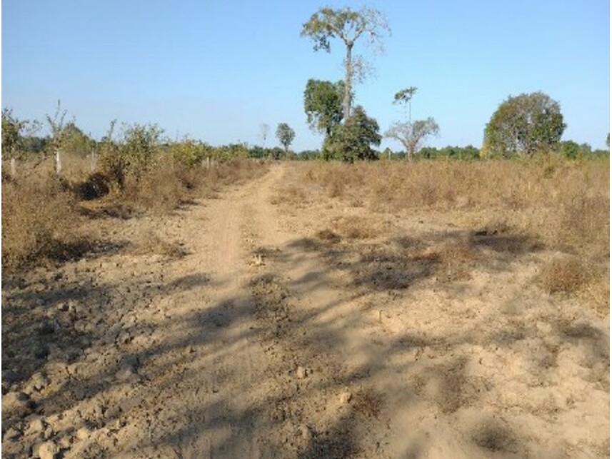 Imagem 3 do Leilão de Área Rural - Zona Rural - Lagoa da Confusão/TO