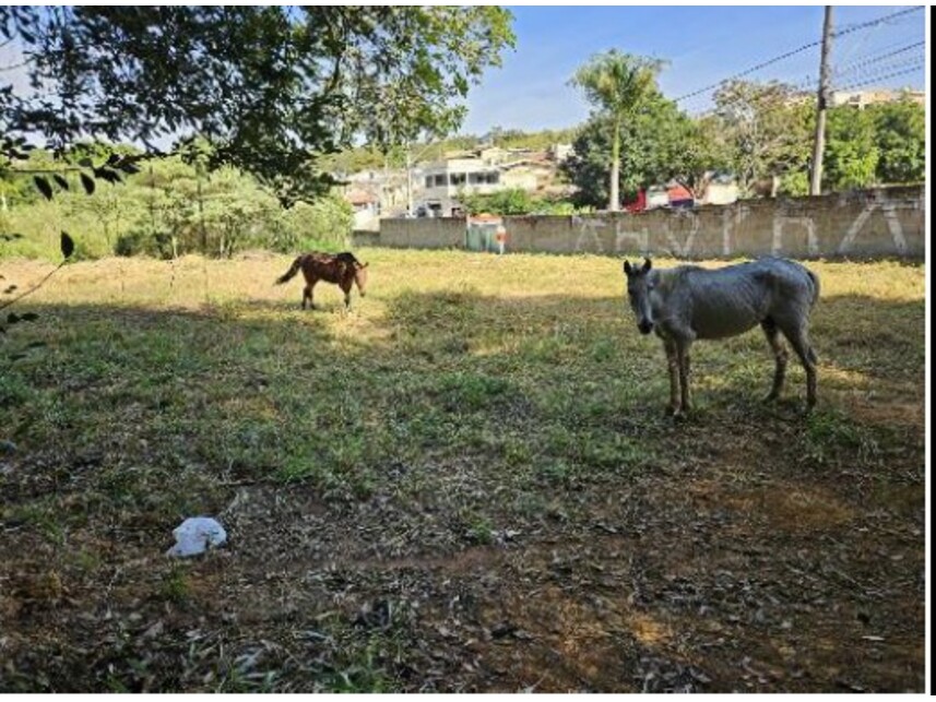 Imagem 3 do Leilão de Terreno - Alvorada - Lavras/MG