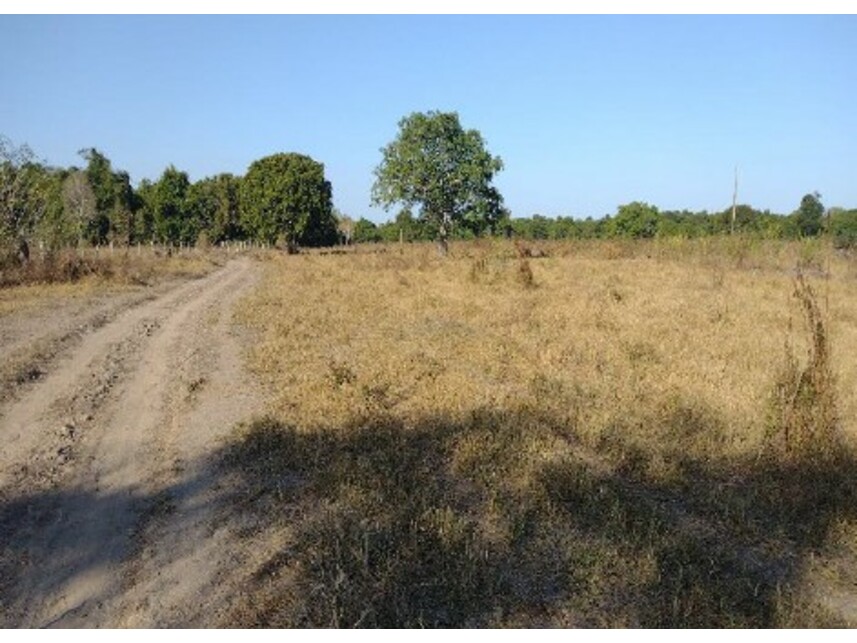 Imagem 4 do Leilão de Área Rural - Zona Rural - Lagoa da Confusão/TO