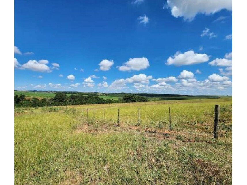 Imagem 12 do Leilão de Fazenda - Área Rural de Getulina - Getulina/SP