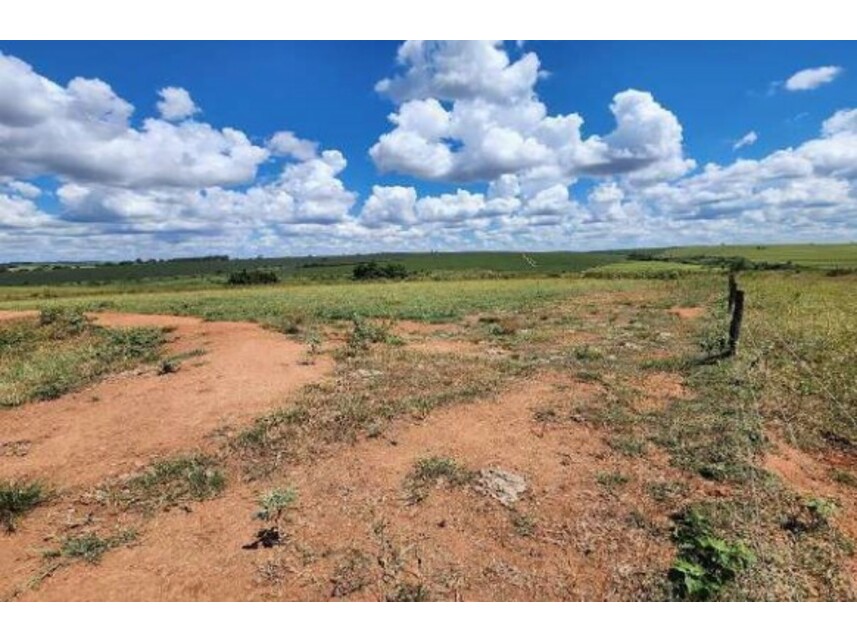 Imagem 18 do Leilão de Fazenda - Área Rural de Getulina - Getulina/SP