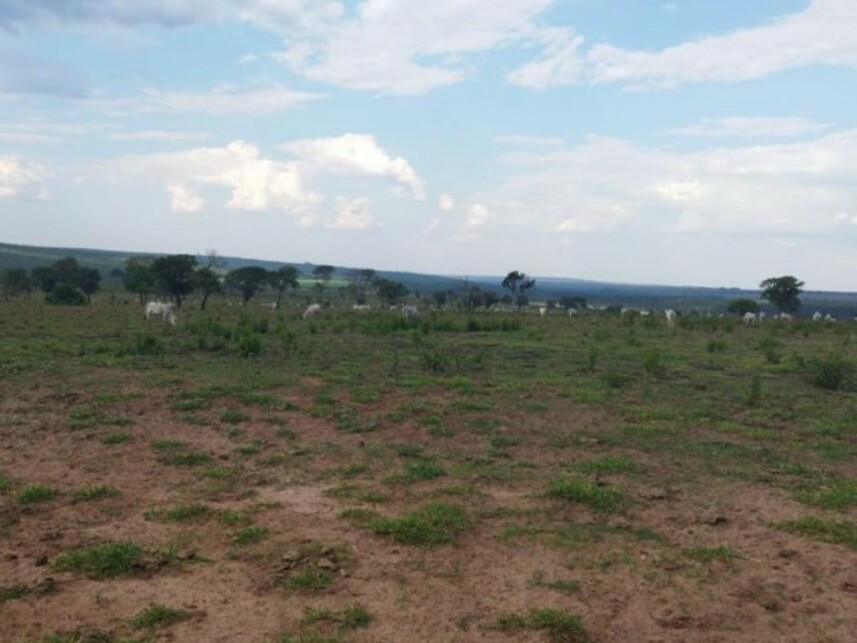 Imagem 5 do Leilão de Área Rural - Zona Rural - Alto Araguaia/MT