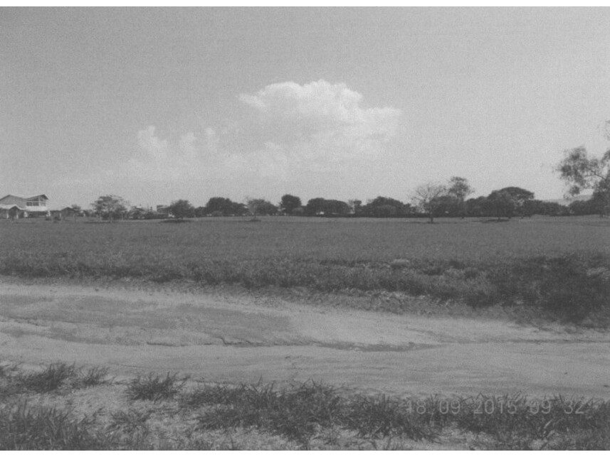 Imagem 3 do Leilão de Terreno - Terras de Santa Cristina XIII - Paranapanema/SP