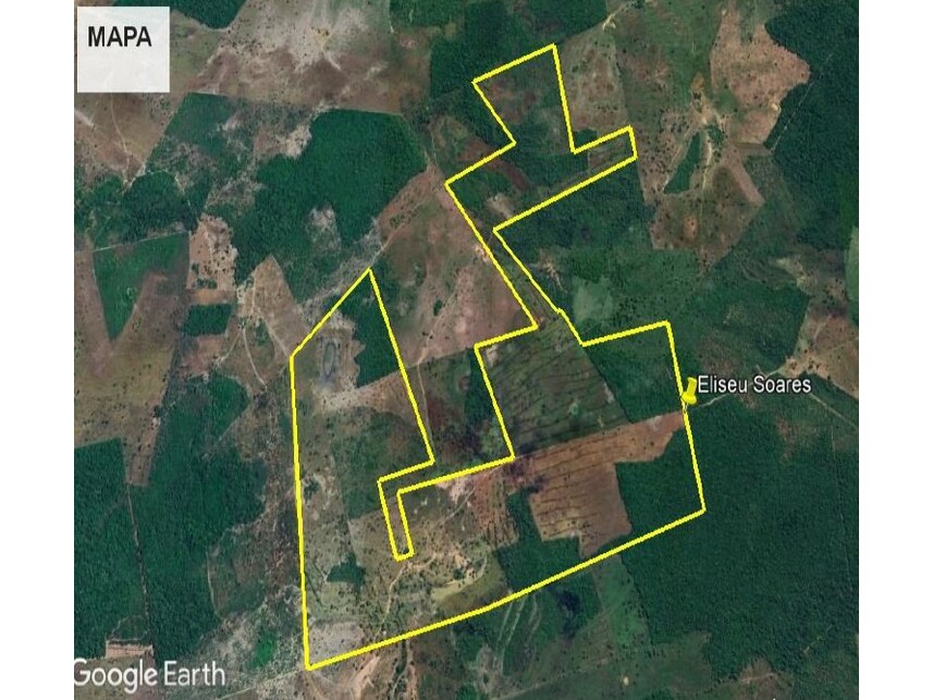 Imagem 7 do Leilão de Área Rural - Zona Rural - Lagoa da Confusão/TO