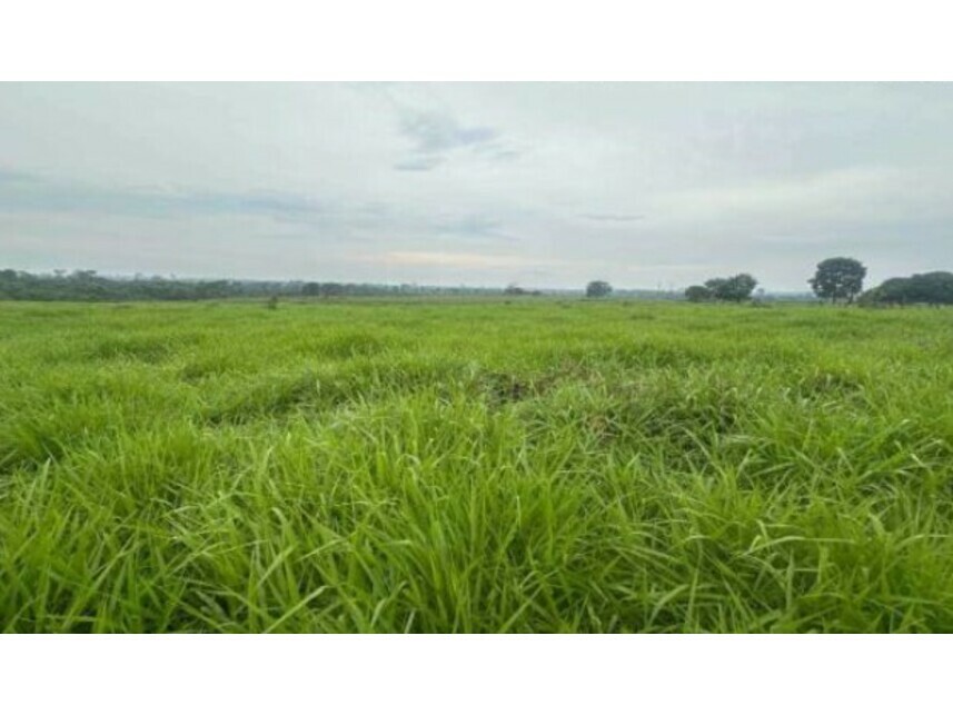 Imagem 1 do Leilão de Área Rural - Zona Rural - Nova Bandeirantes/MT