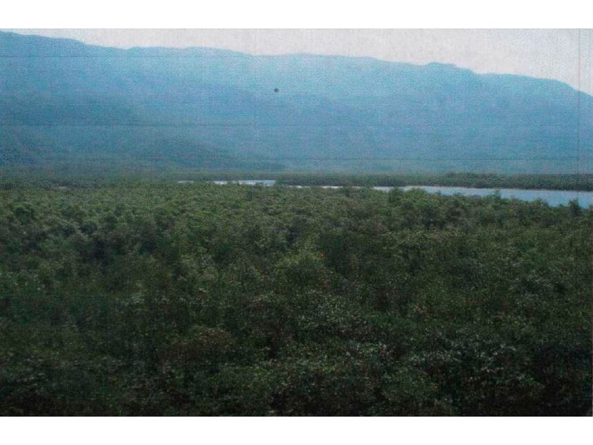 Imagem 2 do Leilão de Terreno - Zona Rural - Bertioga/SP
