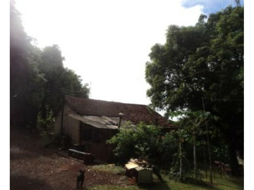 Imagem 6 do Leilão de Gleba Rural - Gleba Ribeirão Bandeirantes do Norte - Arapongas/PR