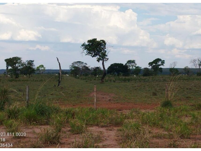 Imagem 3 do Leilão de Área Rural - Zona Rural - Alto Araguaia/MT