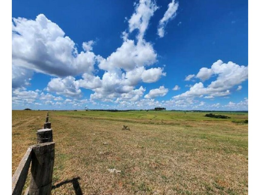 Imagem 14 do Leilão de Fazenda - Área Rural de Getulina - Getulina/SP