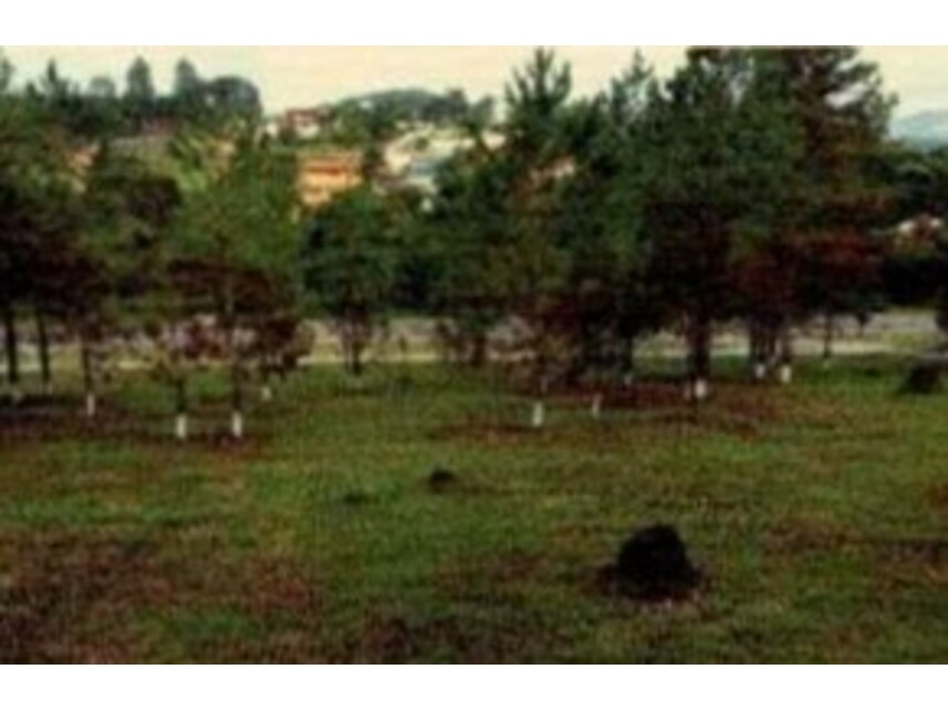Imagem 7 do Leilão de Galpão - Bairro do Varadouro - Santa Isabel/SP