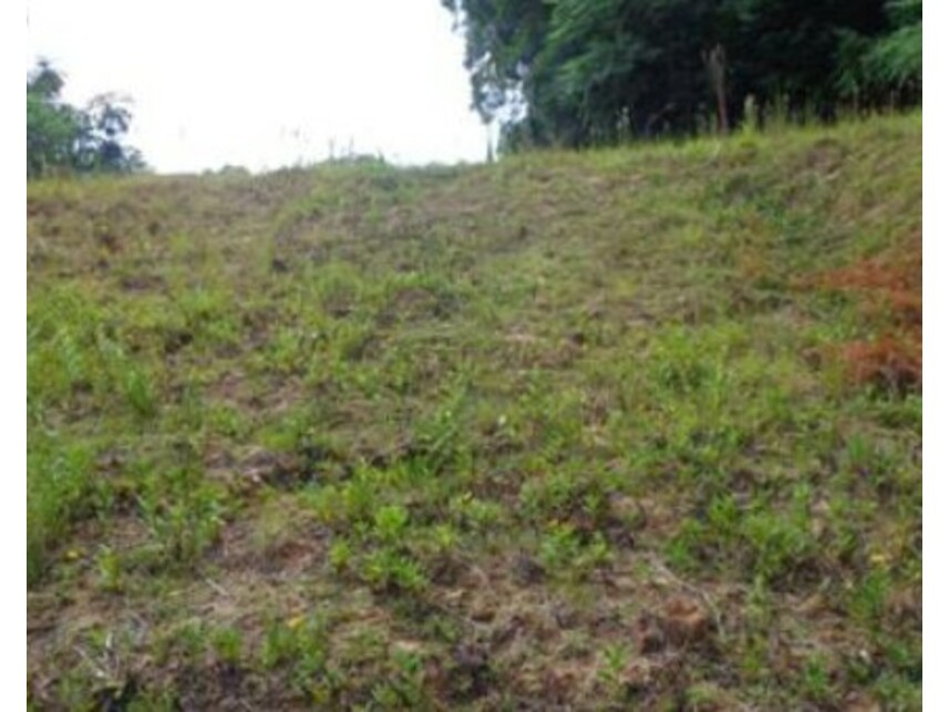 Imagem 3 do Leilão de Terreno - América - Joinville/SC