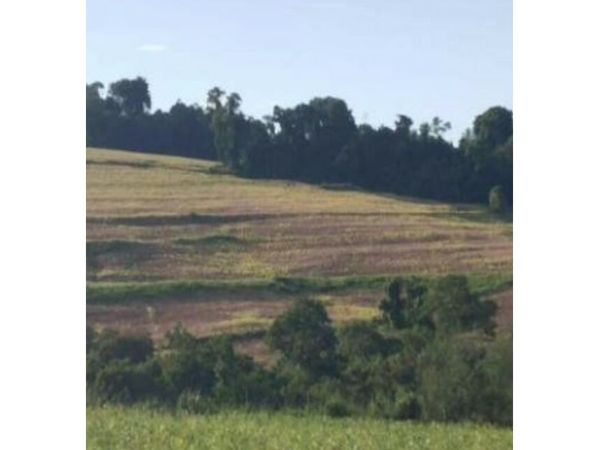 Imagem 15 do Leilão de Área Rural - Zona Rural - Itaporanga/SP