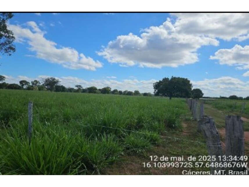 Imagem 4 do Leilão de Área Rural - Área Rural - Cáceres/MT