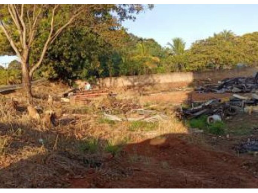 Imagem 3 do Leilão de Terreno - Campina - Arenápolis/MT