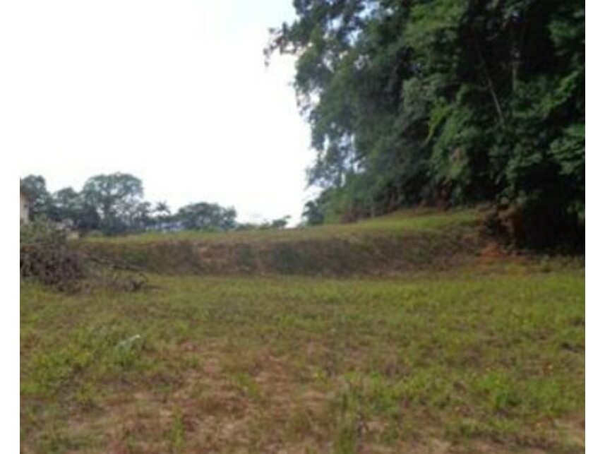 Imagem 7 do Leilão de Terreno - América - Joinville/SC