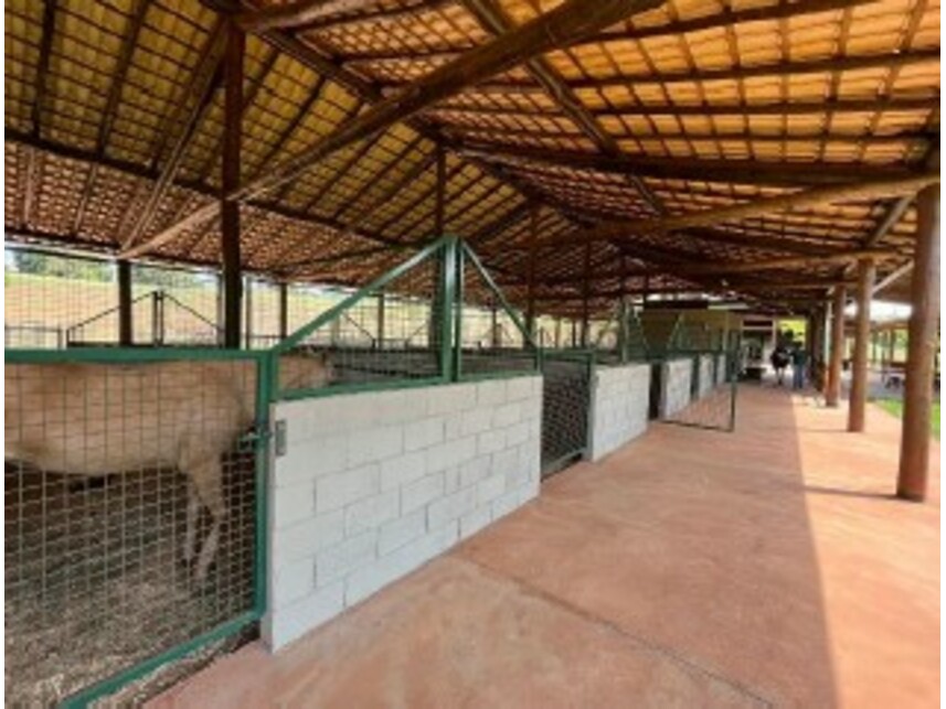 Imagem 5 do Leilão de Terreno - Reserva dos Equestres - Ipiguá/SP