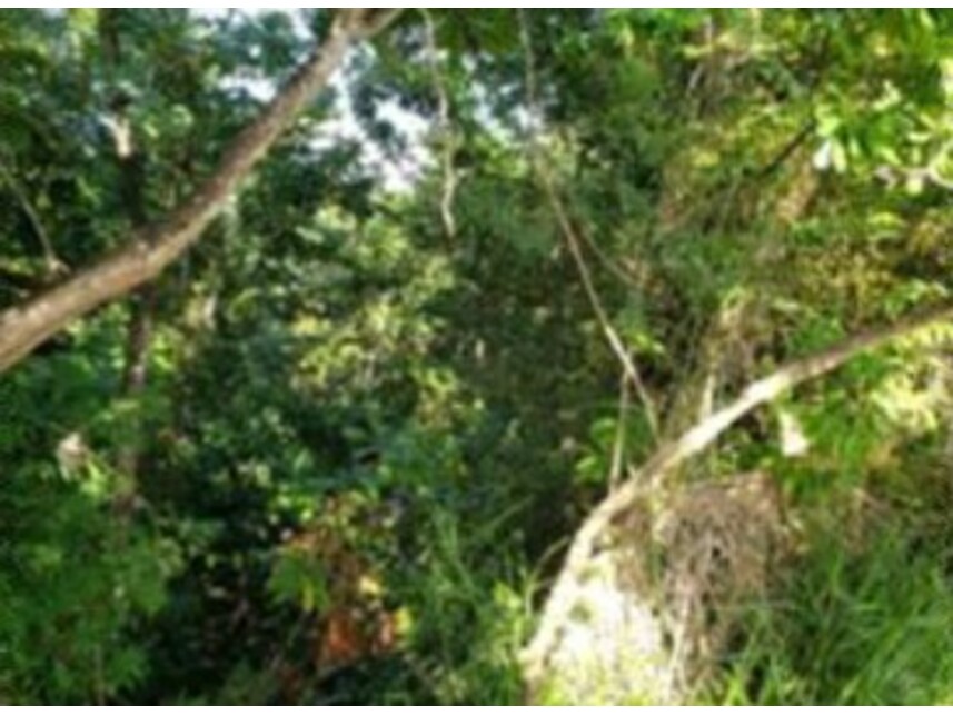 Imagem 18 do Leilão de Terreno - Paralela - Salvador/BA