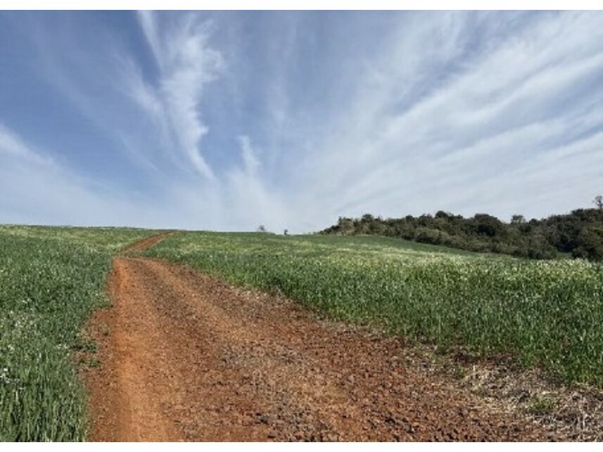 Imagem 5 do Leilão de Área Rural - Zona Rural - Turvo/PR