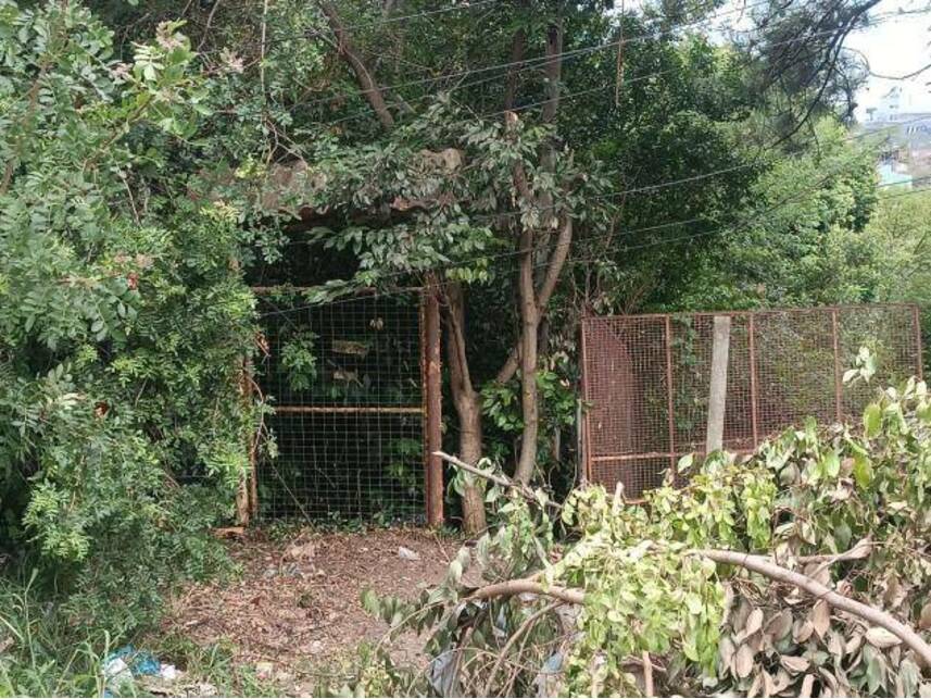 Imagem 1 do Leilão de Terreno - São Lucas - Viamão/RS
