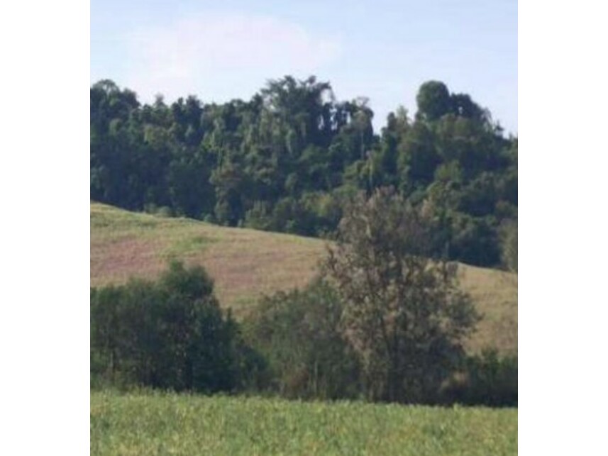 Imagem 17 do Leilão de Área Rural - Zona Rural - Itaporanga/SP