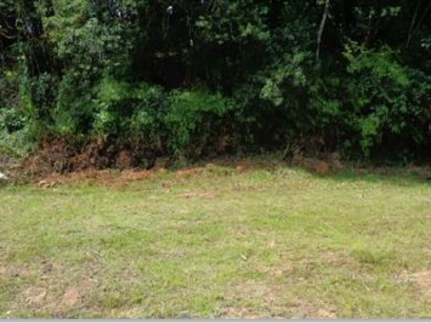 Imagem 7 do Leilão de Terreno - América - Joinville/SC