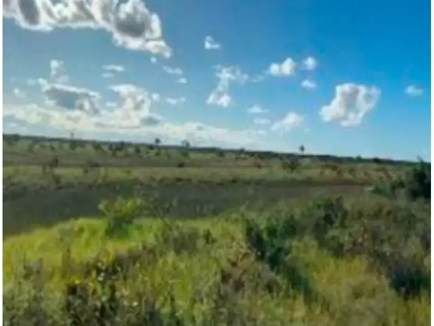 Terreno à venda em leilão - leilão extrajudicial - Belmonte BA - lance mínimo R$ 710.000