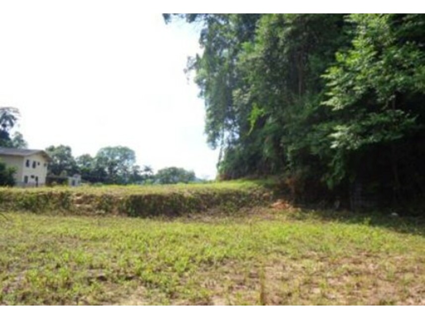 Imagem 6 do Leilão de Terreno - América - Joinville/SC