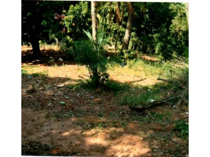 Imagem 2 do Leilão de Terreno c/Benfeitorias - Alvorada - Araçatuba/SP