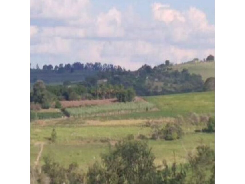 Imagem 9 do Leilão de Área Rural - Zona Rural - Itaporanga/SP