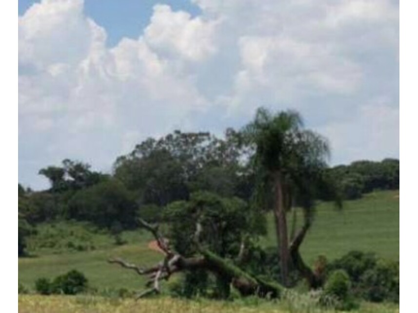 Imagem 10 do Leilão de Área Rural - Zona Rural - Itaporanga/SP