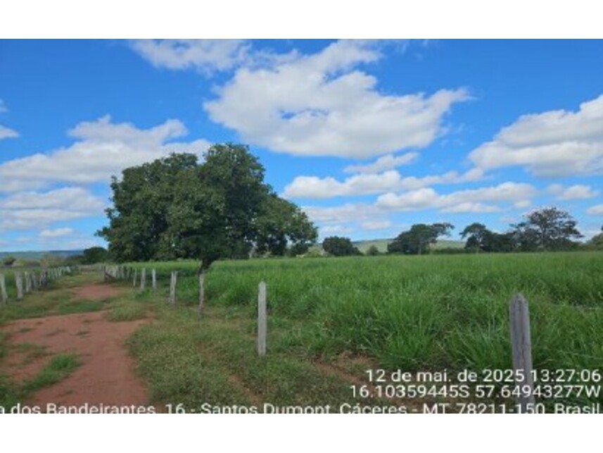 Imagem 10 do Leilão de Área Rural - Área Rural - Cáceres/MT