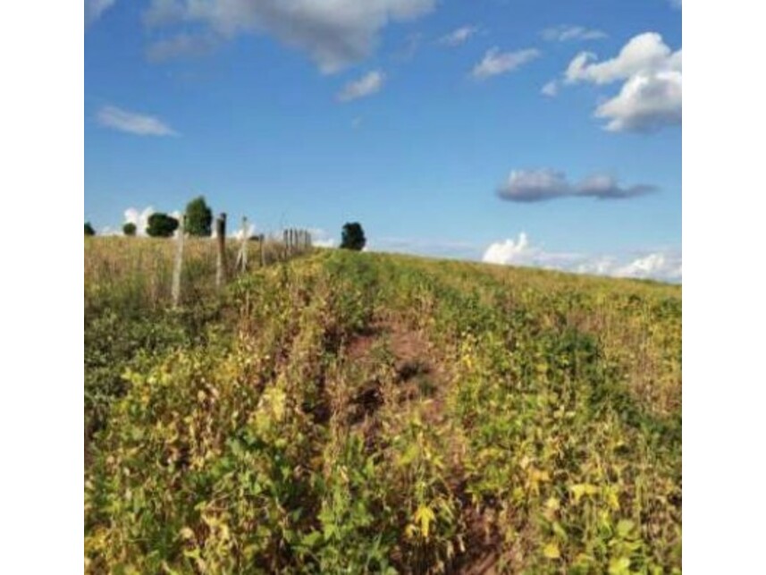 Imagem 6 do Leilão de Área Rural - Zona Rural - Itaporanga/SP