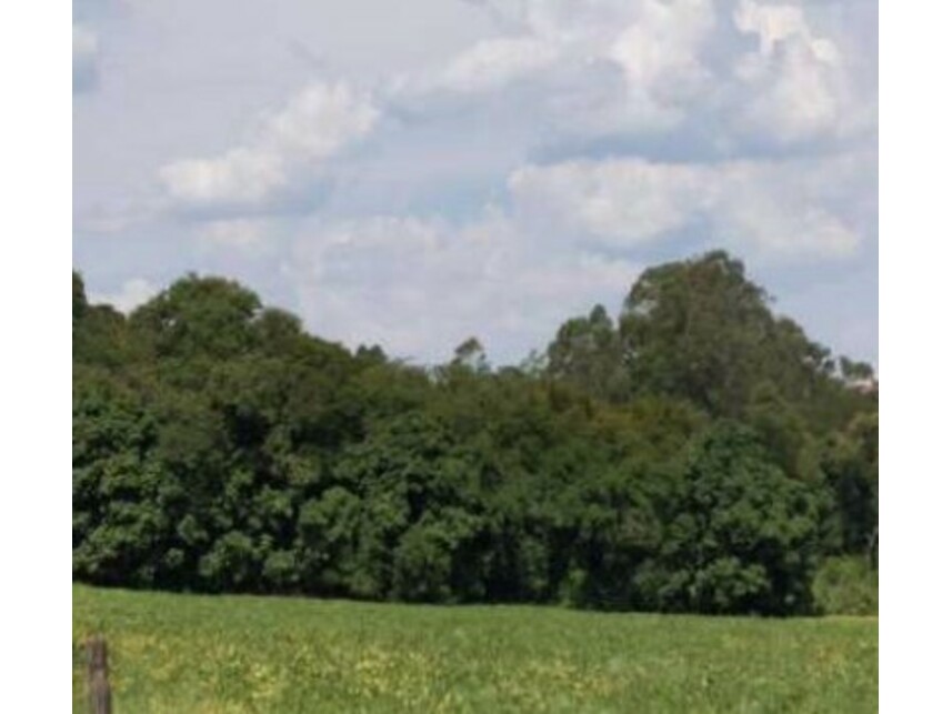 Imagem 4 do Leilão de Área Rural - Zona Rural - Itaporanga/SP
