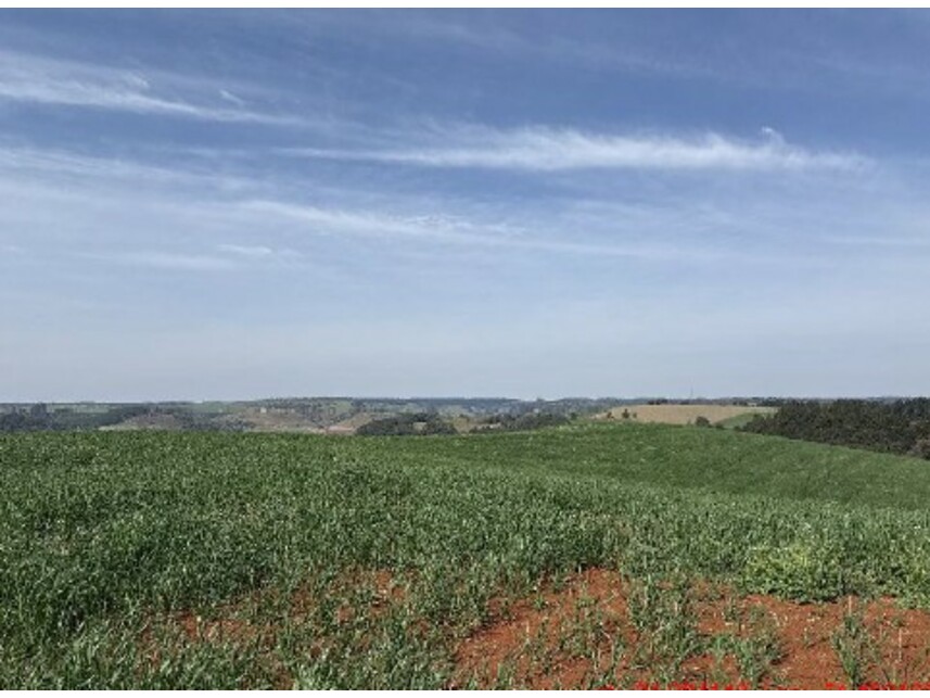 Imagem 8 do Leilão de Área Rural - Zona Rural - Turvo/PR