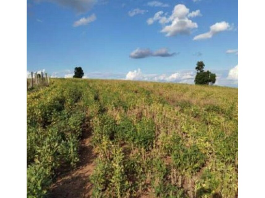 Imagem 4 do Leilão de Área Rural - Zona Rural - Itaporanga/SP