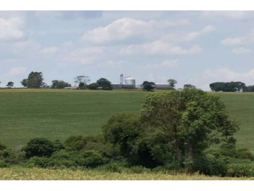 Imagem 11 do Leilão de Área Rural - Zona Rural - Itaporanga/SP
