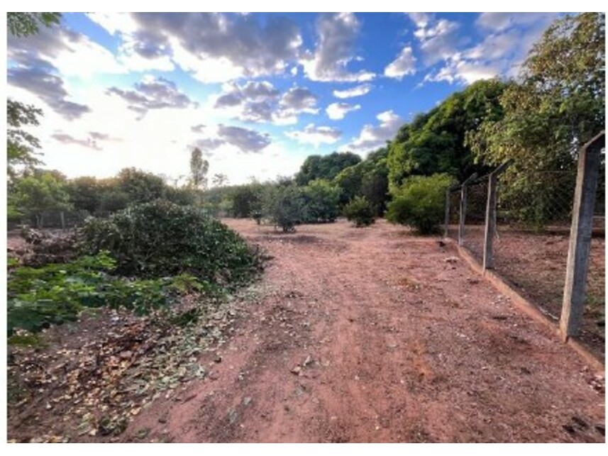 Imagem 4 do Leilão de Chácara - Jardim Morumbi - Adolfo/SP
