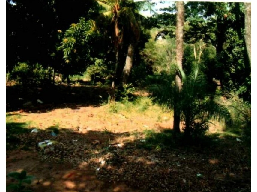 Imagem 3 do Leilão de Terreno c/Benfeitorias - Alvorada - Araçatuba/SP
