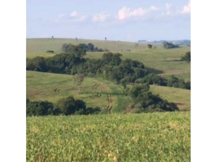 Imagem 13 do Leilão de Área Rural - Zona Rural - Itaporanga/SP