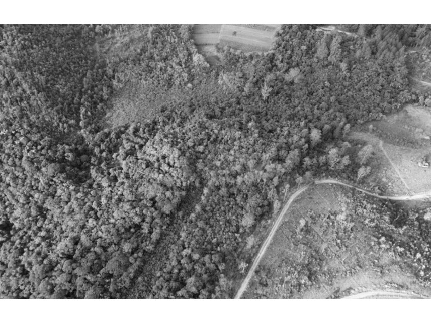 Imagem 3 do Leilão de Terreno - Zona Rural - Biritiba Mirim/SP